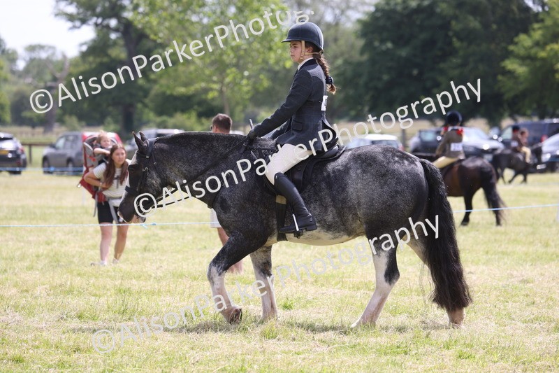 20260614-1984 - Class 21 - Novice Working Hunter Pony