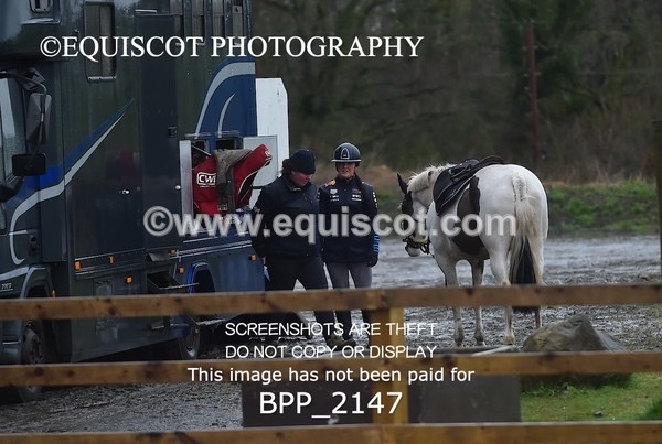 BPP_2147 - CLASS 20 Pony Newcomers/ 1m Open