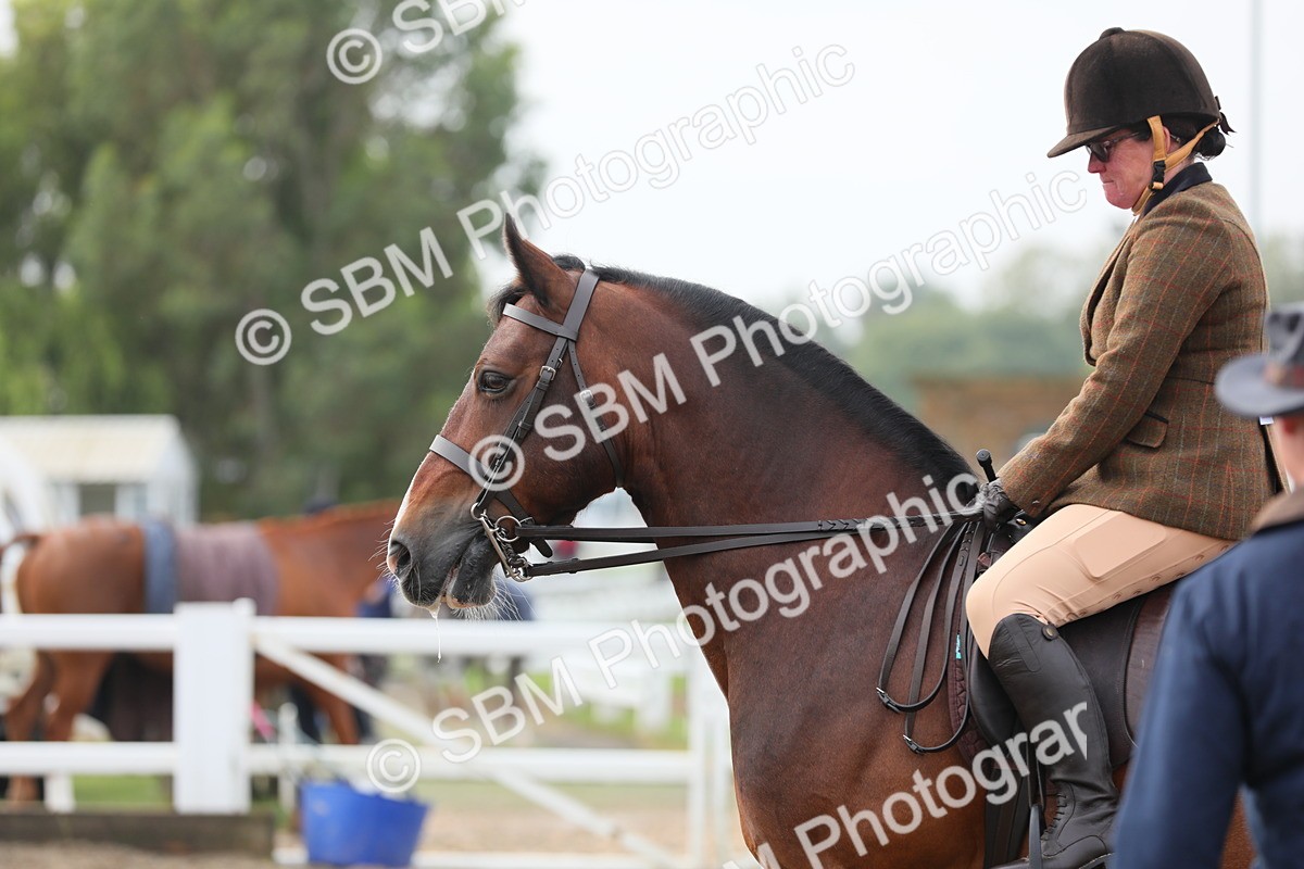 SBM_21357 - Class 805 - Ridden Veteran Horse