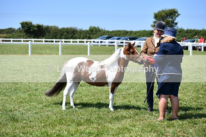 DSC_7784 - Class 64: Coloured Pony 4yrs & over