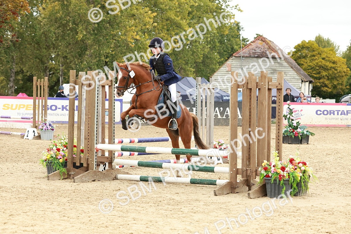 SBM_67181 - J13 - Junior Pony 60cm Championship