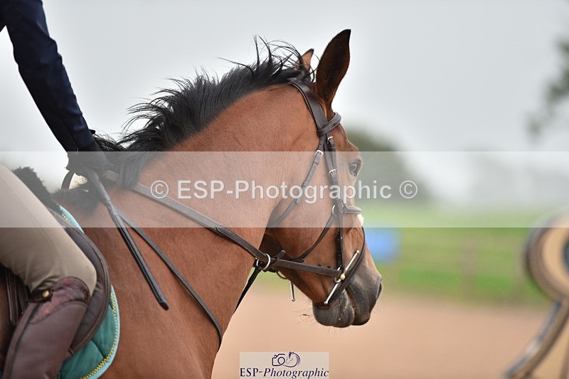 230808A-153204-00011 - 60cm