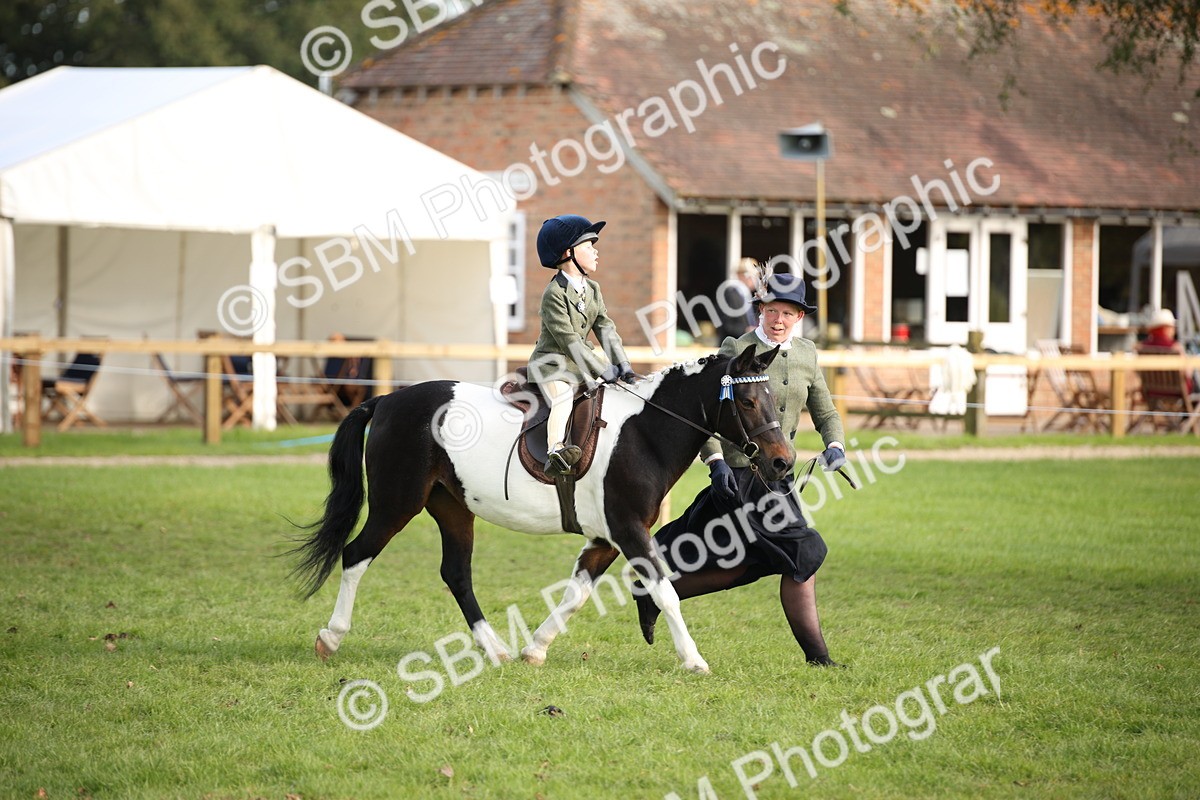 SBM_54282 - S27 - Mature Veteran - Ridden