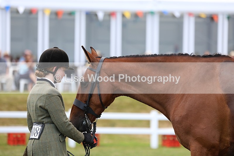 3E7A1755 - Class 9: Open Hunter