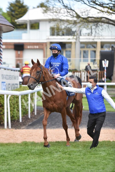 yr13052021r4-25 - Race 4 3.10pm Al Basti Equiworld Dubai Dante Stakes