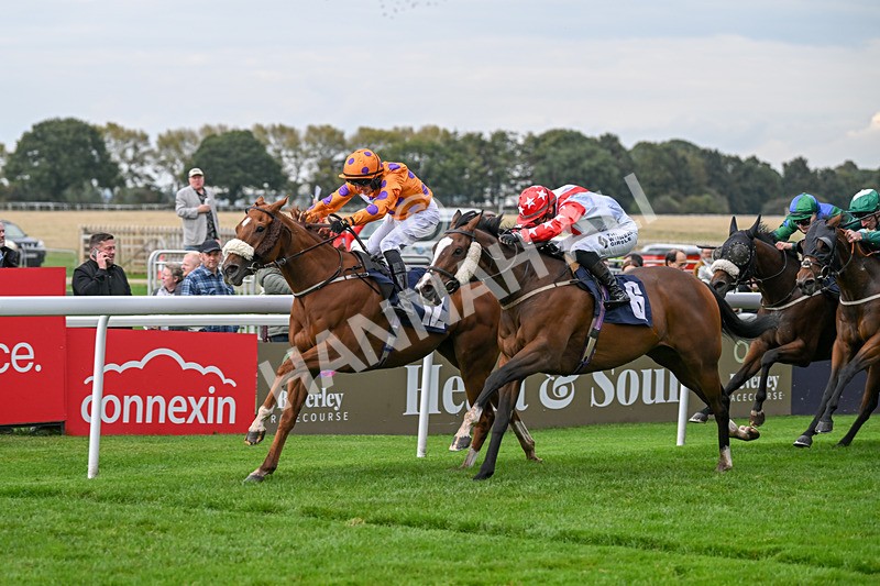 240924-Race 5-Ifonlytheycudtalk-6493 - Race 5