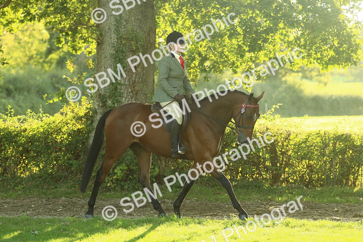 SBM_55589 - S14 - Riding Club Horse
