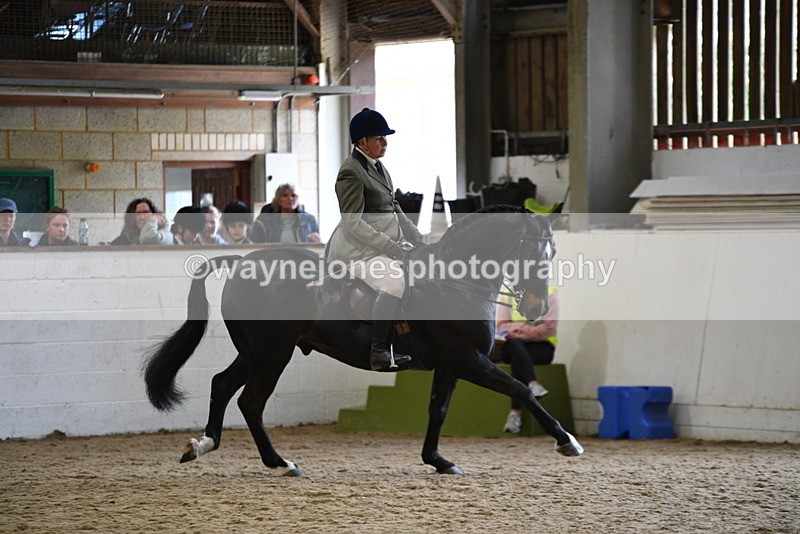 WJ5_6103 - Class 9 Ridden Veteran