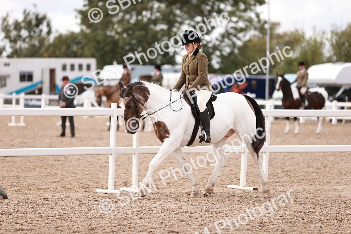 SBM_14362 - Class 409 - Grassroots Ridden - Pony