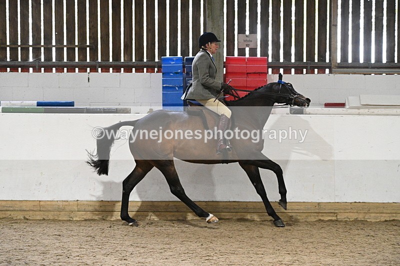 WJ7_4311 - Class 17 Ridden Cob