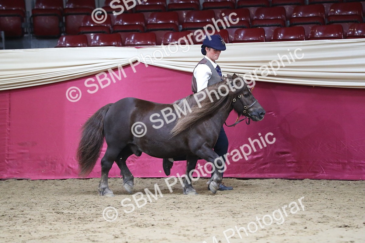 SBM_05004 - Class 8R- Regional -IH Veteran