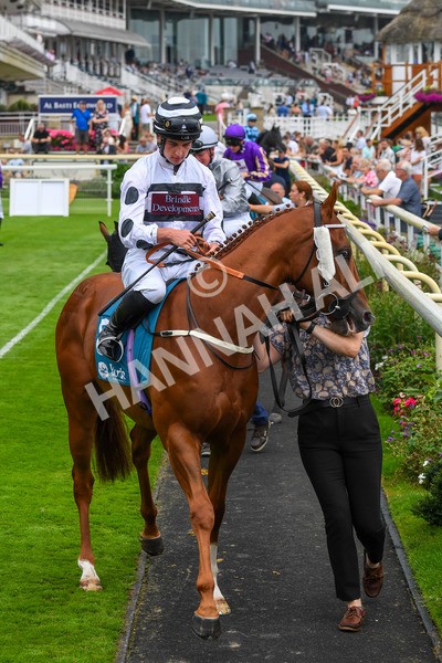 100923-Race 7-Looking For Lynda-1187 - Race 7 4.55pm Brian Taylor 50 Not Out Apprentice Handicap