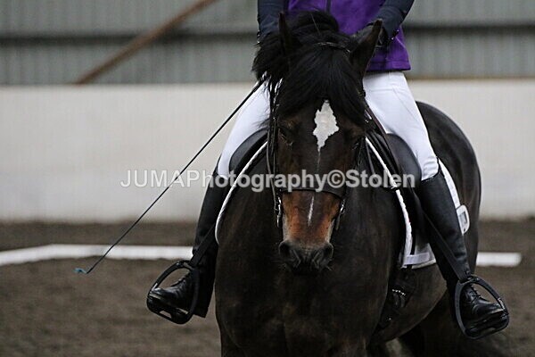 SIAL3750 - CAbin Dressage 5th july 2025