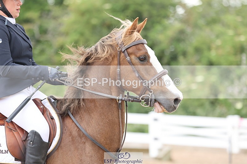 240630A-155058-14917 - Cls 33 Foxhunter and 1.10m Open