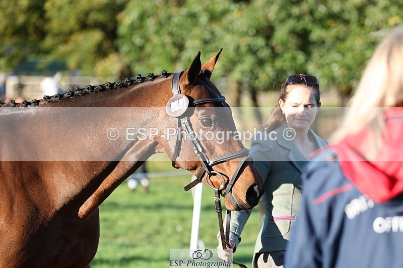 241027-083447-14673 - 412-Holly.Horton-MILTONHILL.MALENKI