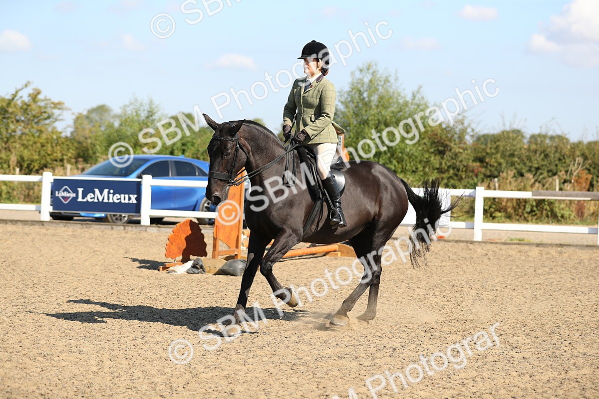 SBM_02261 - Class 43 Ridden Competition Horse/Pony