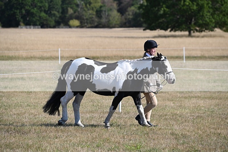 WJ6_7180 - Class 33 Rescue Pony