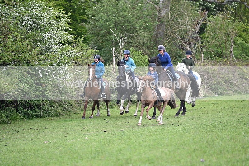 WJ6_2947 - A Camera