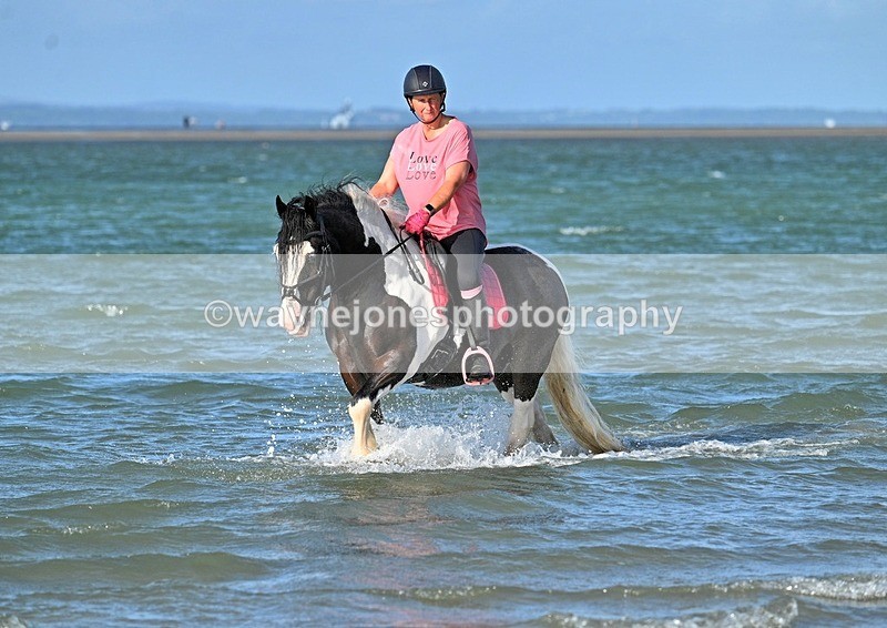 WJ7_3631_1 - Kellie & Churchill ... do Hayling Island 25-08-24