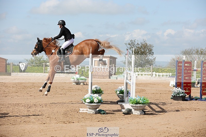 250427-104743-15617 - Cls 36 Young Horse 7yr old