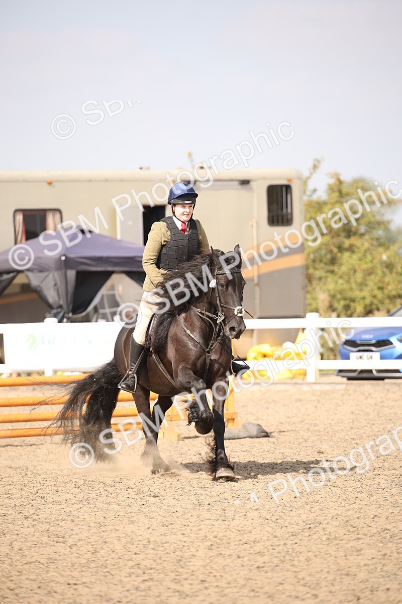 SBM_14999 - Class 408a - Working Veteran 70cm (15-19