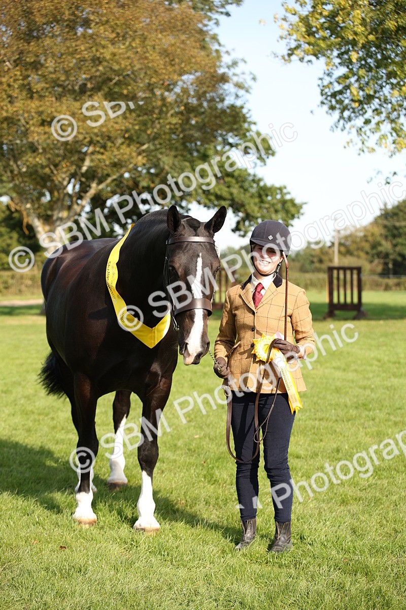 SBM_61219 - S54 - Show Cob In Hand