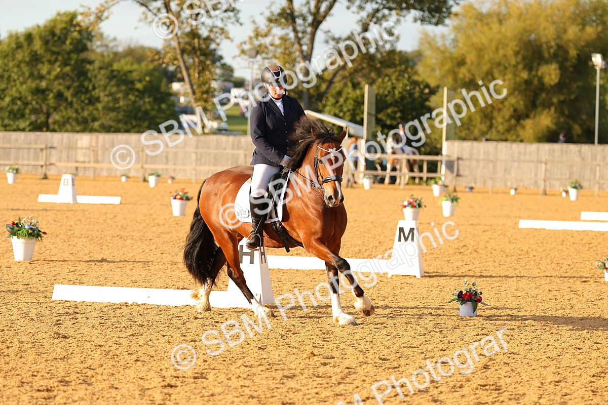 SBM_54516 - D12 - Small Tour Championship - Prelim 18