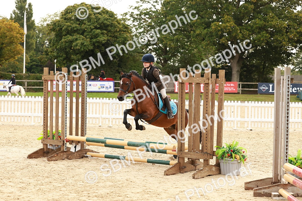 SBM_57723 - J11 - Junior Pony 50cm Championship