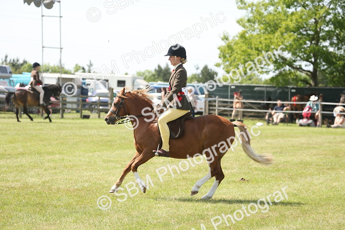 SBM_07694