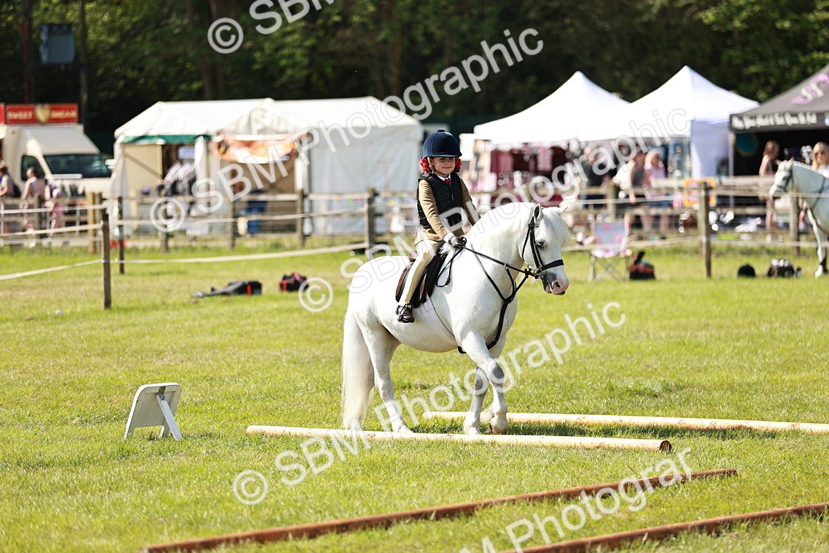 SBM_12744 - Class 106-107 - BSPS LIHS Working Sports Pony
