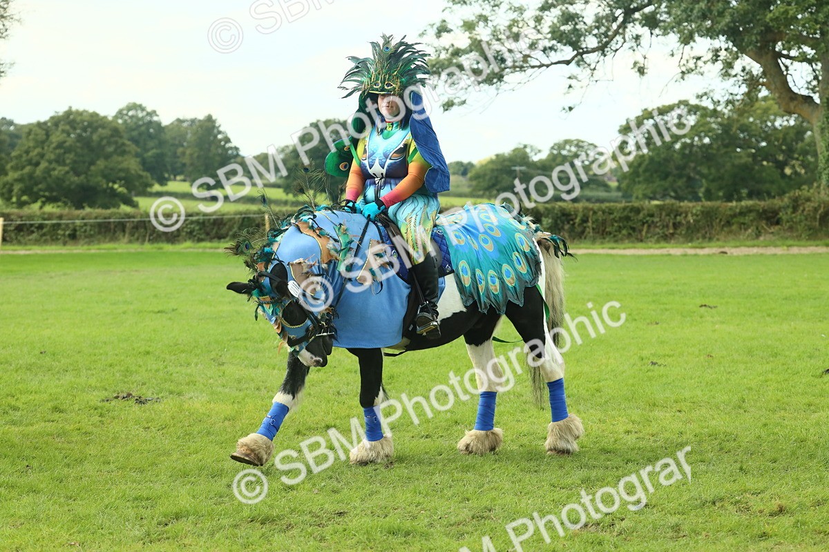 SBM_63592 - S35 - Fancy Dress Showing