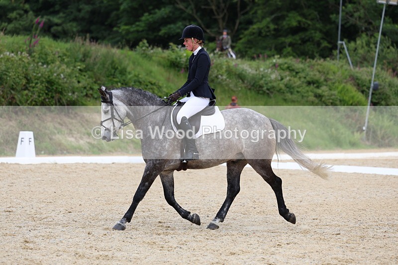 3E7A1726 - Class 2: Intro 2 2024 Section B