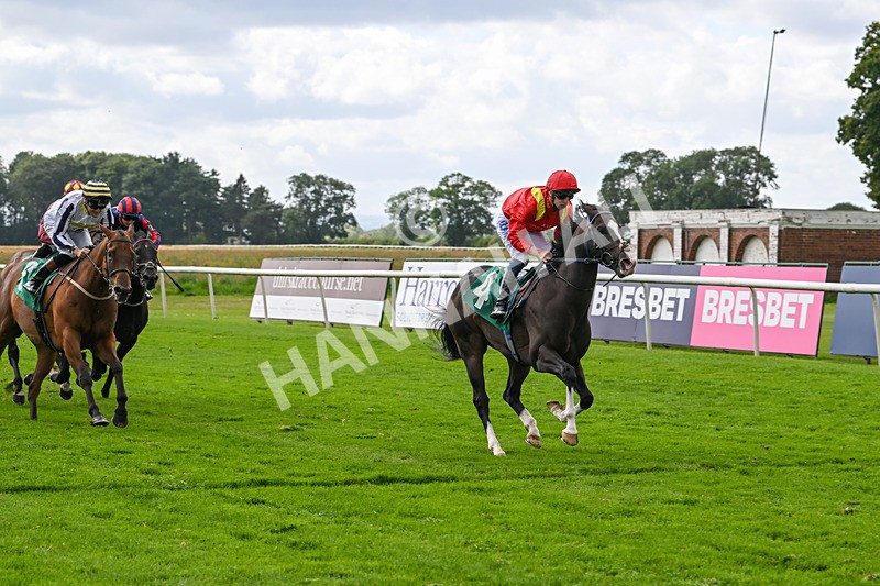 090824-Race 4-Law Of Average-4686 - Race 4