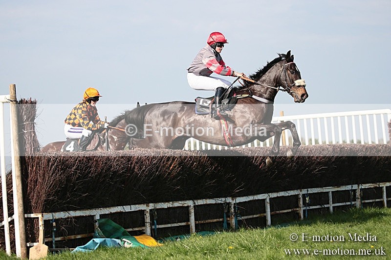 PtP 210418 503 - South & West Wilts Point-to-Point Larkhill 21/04/18