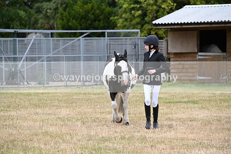 WJ6_4209 - Class 10 Coloured In-hand