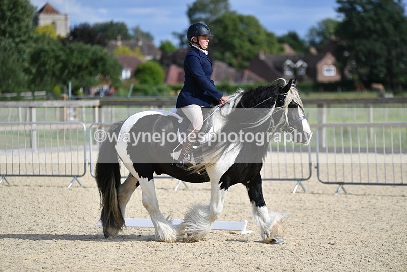 WJ5_7725 - Time 16:40 to 16:55