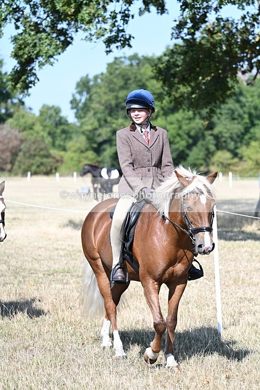 WJ7_3556 - Class 9 Mountain & Moorland Ridden
