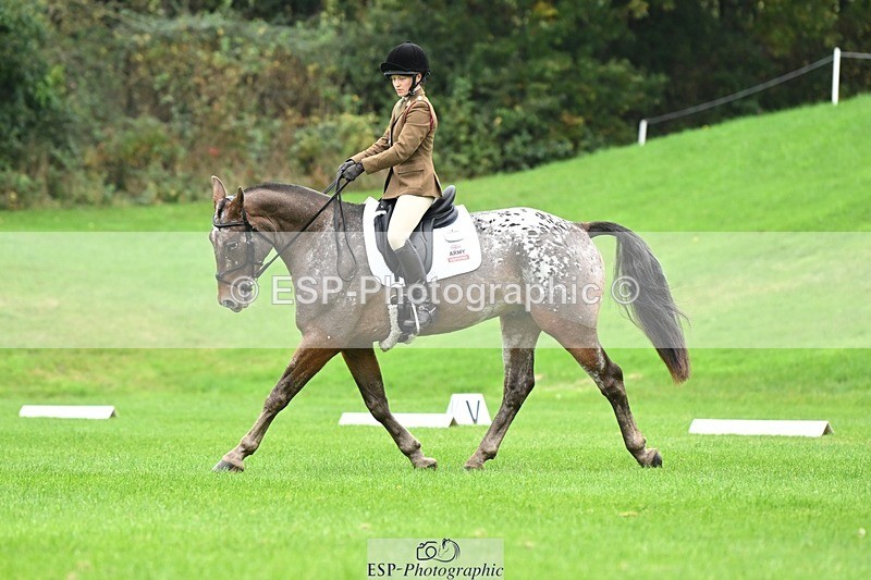 241024-105041-03066 - 501-Captain.Holly.Day-MUSTANG