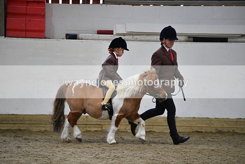 WJ5_6775 - Class 10 Childs Pony