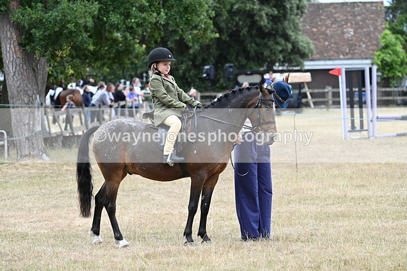 WJ7_0439 - Class 6 Ridden Mountain and Moorland