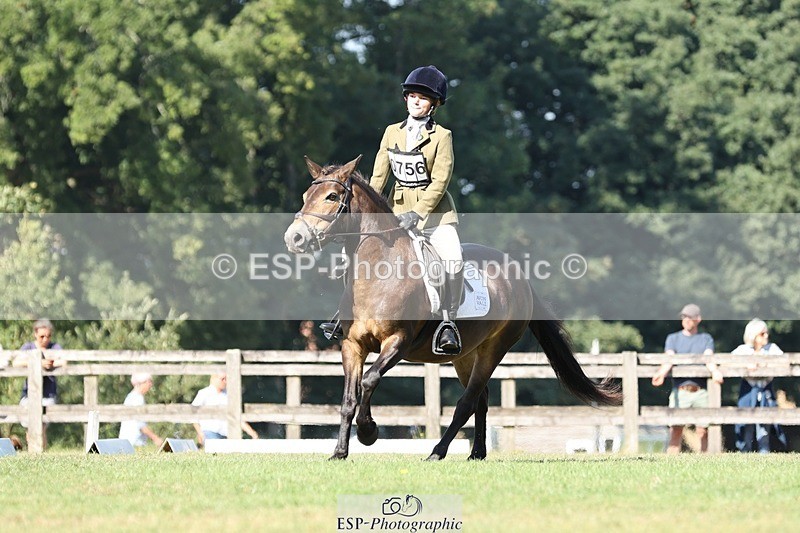 250823A-103305-27729 - Arena D