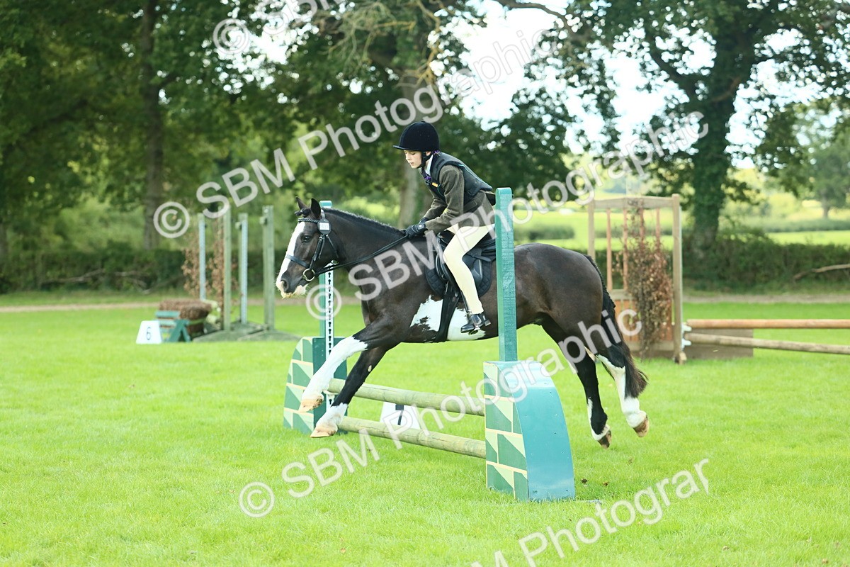 SBM_42026 - S29 - Novice & Newcomers Working Hunter Pony