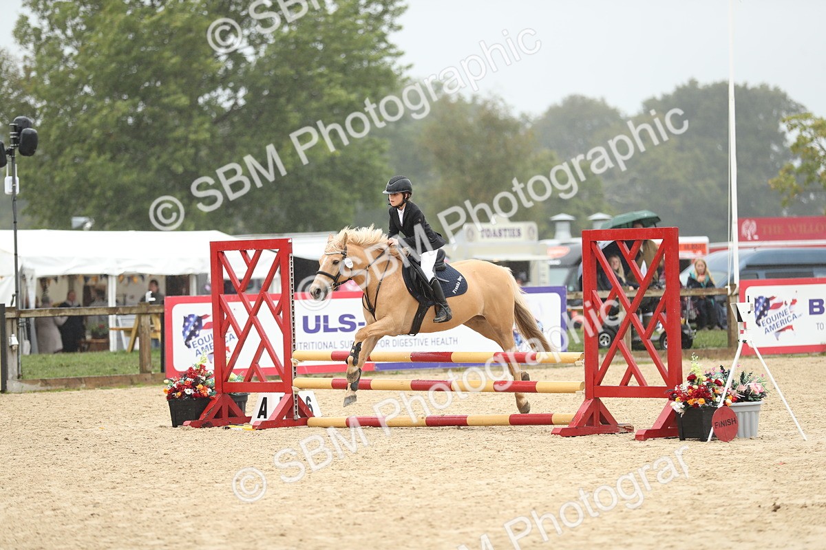 SBM_73692 - J16 - Junior Pony 75cm Championship
