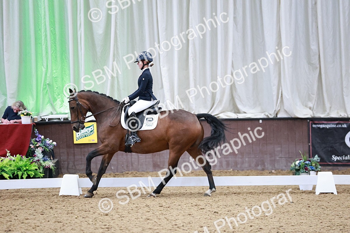 SBM_014335 - Class 7 - Ele FSM Bronze  13.24.14.04