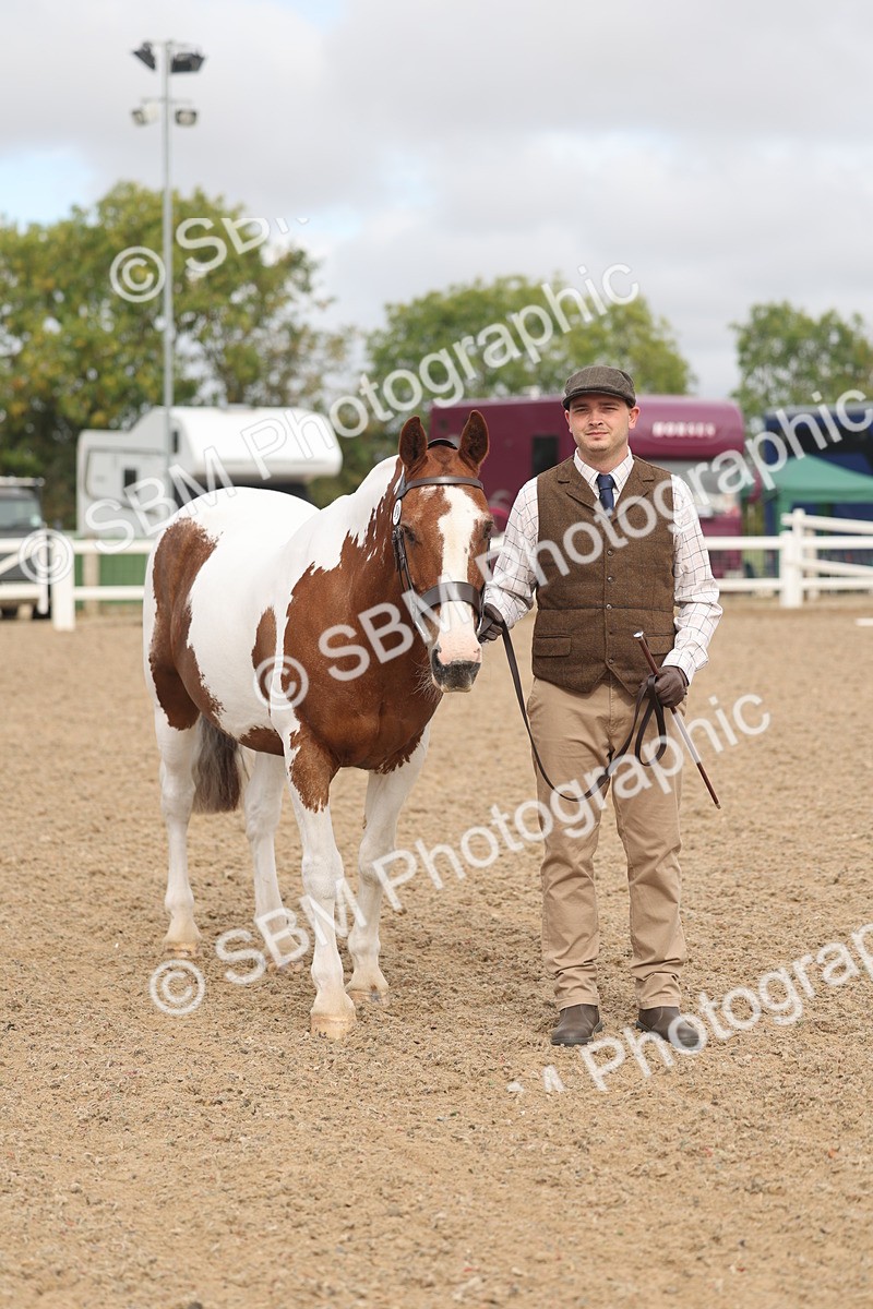 SBM_02089 - Class 15 - IH Coloured