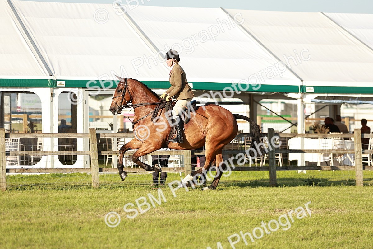SBM_20485 - Class 117-119 - Sport Horse Working Hunter