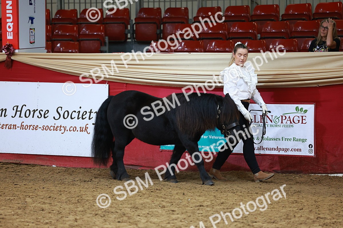 SBM_18399 - Class 903 - Sup Final - IH Pre Vet