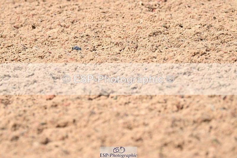 240621A-155629-05065 - Cls 5 MyQuest Prelim 12