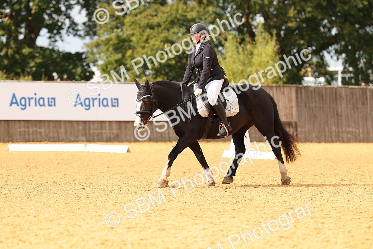 SBM_48195 - D22 - Junior Championship - Intro B