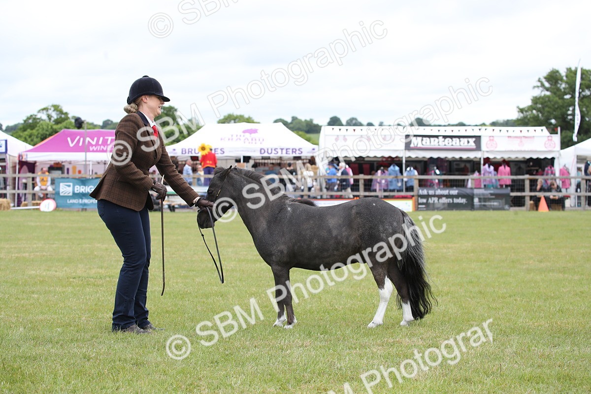 SBM_03984 - Class 23-25 - British Miniature Horse of the Year